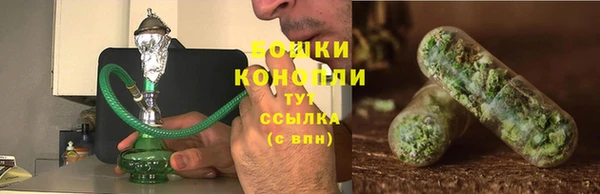прущие крисы Костерёво