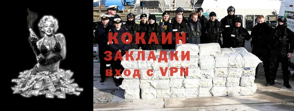 крисы Нижний Тагил