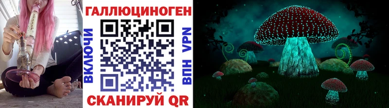 мега ONION  Углич  Псилоцибиновые грибы Cubensis 