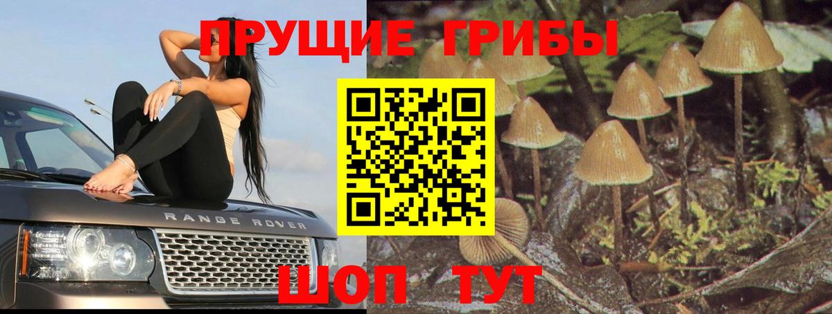 Псилоцибиновые грибы Cubensis  даркнет сайт  Углич  Вход с VPN 