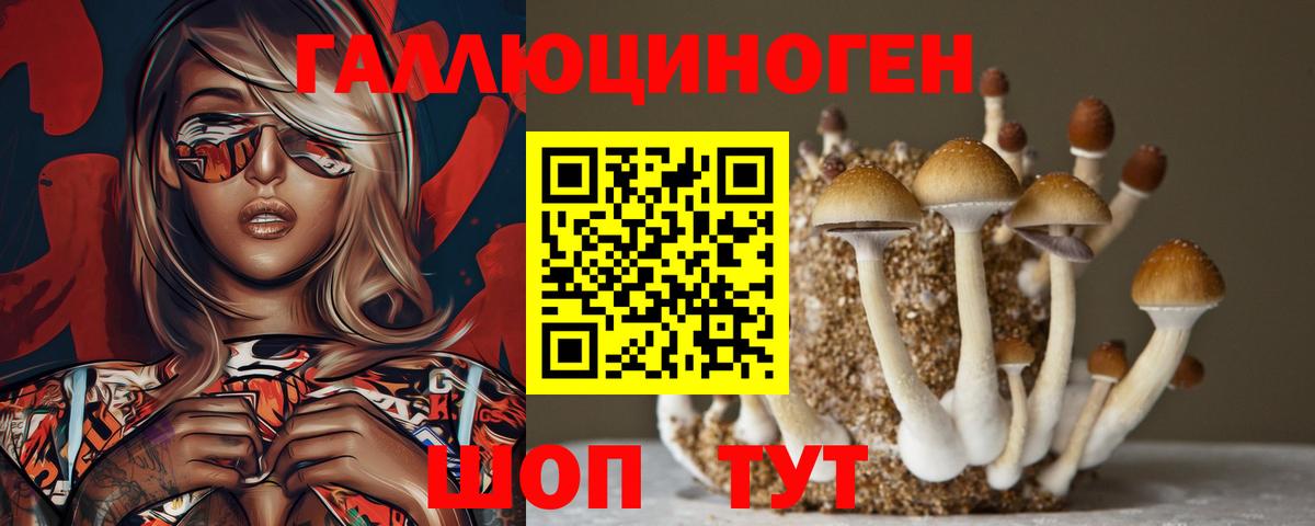 Углич  Галлюциногенные грибы Magic Shrooms  Псилоцибиновые грибы Magic Shrooms  Вход с VPN 